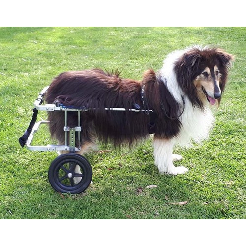 K9 carts dog wheelchair best sale