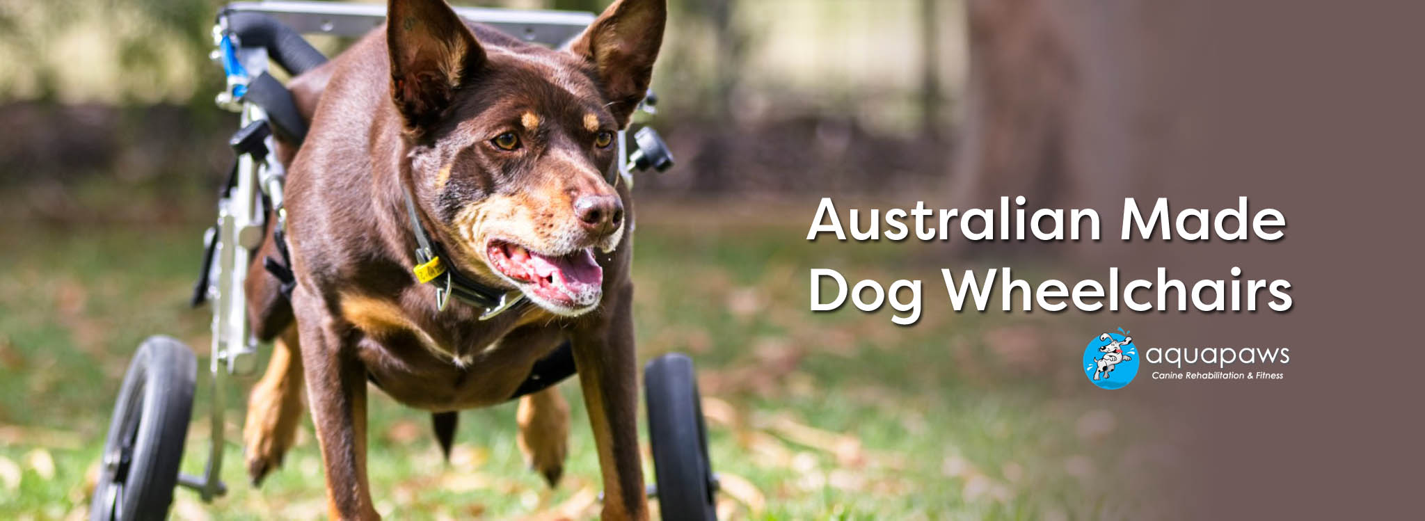 Australian Made Dog Wheelchairs